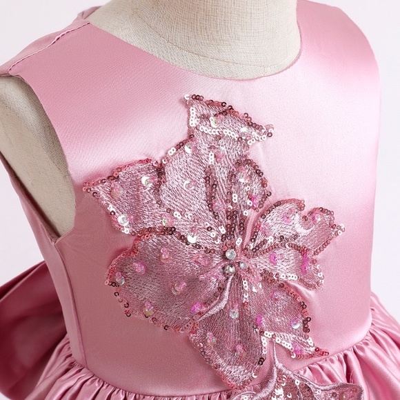 Luxury Birthday Wedding Princess Embroidered Sparkly Gown Dress - Picture 4 of 11